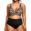 Leopard and Black