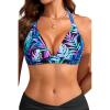 Colorful Leaves