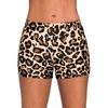 03 Leopard